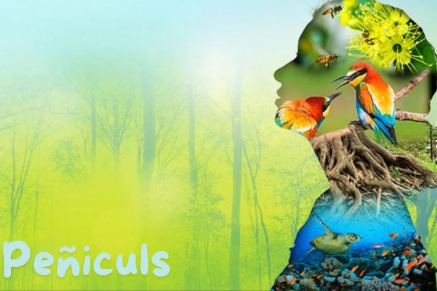 Peñiculs: Harnessing Ancient Wisdom For Holistic Health Toda