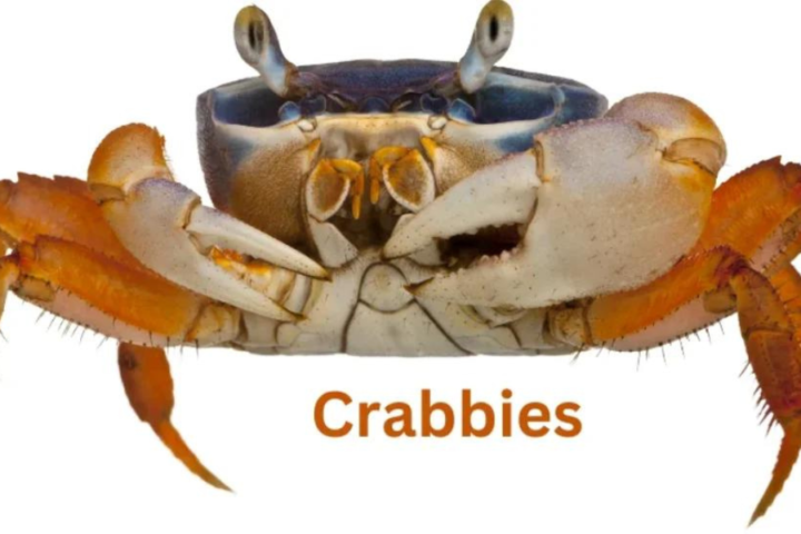 crabnibbie