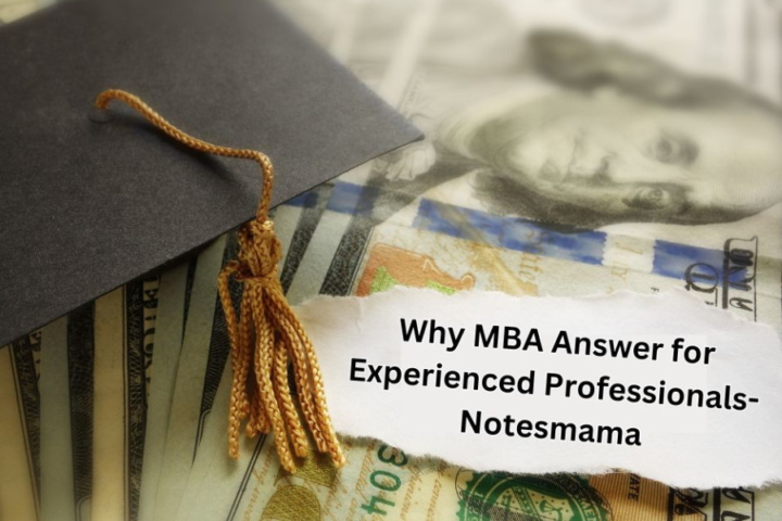 why mba answer for experienced professionals-notesmama